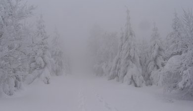 Plateau d'Ambel : Tubanet depuis Pionnier