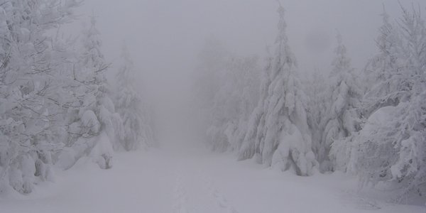 Plateau d'Ambel : Tubanet depuis Pionnier