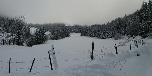 Vallon des Fauges