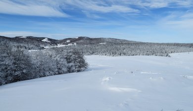 Boucle des Pises sur la montagne du Lingas (forêt de l'Aigoual)