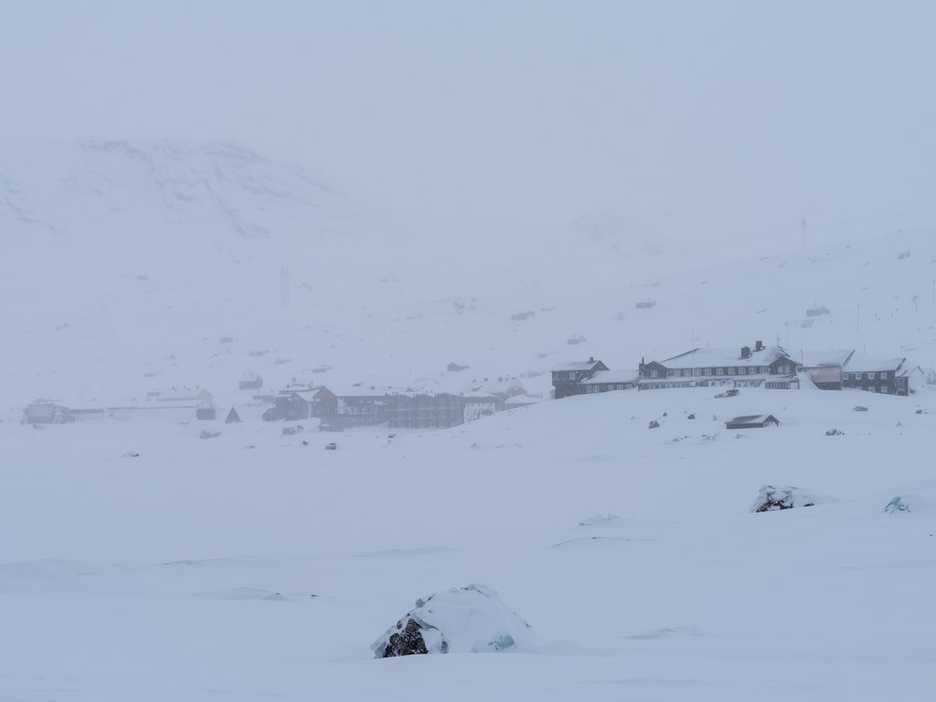DSC_3007.jpg