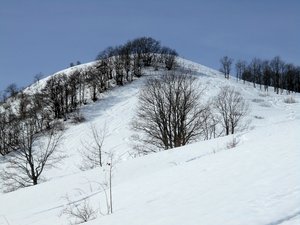 Le Mont Morbié