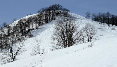 Le Mont Morbié