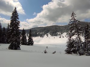 Corrençon en Vercors - Tiolache du milieu 