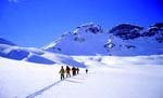 Skieurs de randonnée nordique
