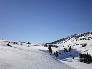 En direction du Chalet de l'Alpe - Chartreuse