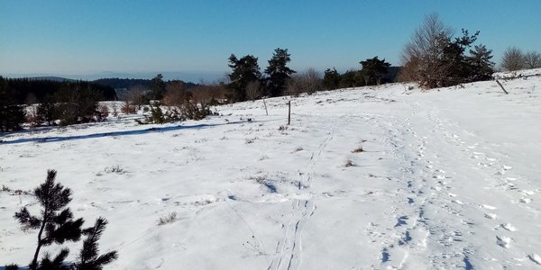 Le Grand Tour du Lac des Pradeaux