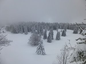 Les Aigaux - Charande - La Molière