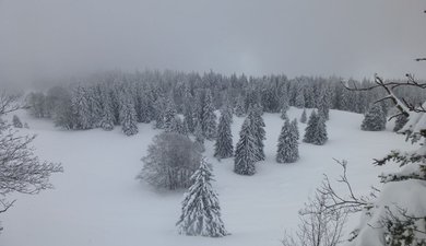 Les Aigaux - Charande - La Molière