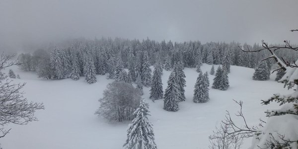 Les Aigaux - Charande - La Molière