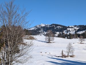 La Giboulette – La Dôle