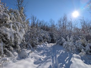 Coulmes. Le Faz - Fontaine de Pétouze - Le Faz