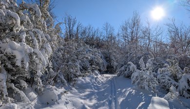Coulmes. Le Faz - Fontaine de Pétouze - Le Faz