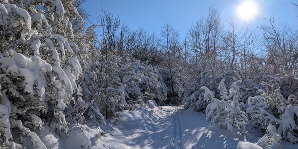 Coulmes. Le Faz - Fontaine de Pétouze - Le Faz