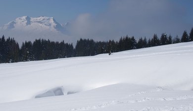 Un « Beauregard » et la journée vous sourit !