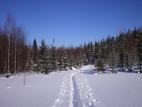 Le ski de découverte et des origines…