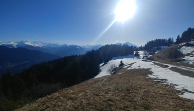 SRN  en Beaufortain au départ de Pradier (Hautecour)