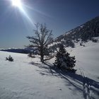 Asgeir avatar